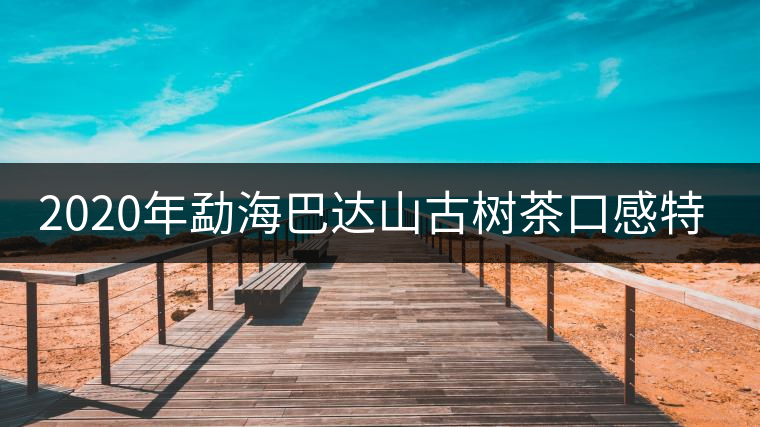 2020年勐海巴達(dá)山古樹茶口感特點(diǎn)