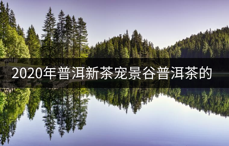 2020年普洱新茶寵景谷普洱茶的特點(diǎn) 2020年普洱新茶寵景谷普洱茶的特點(diǎn)