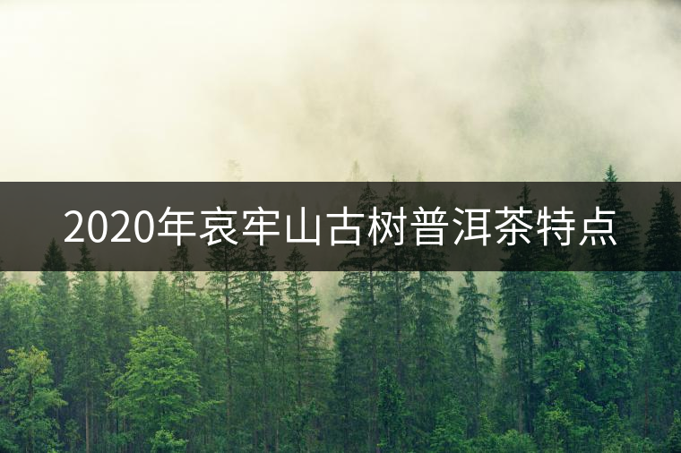 2020年哀牢山古樹普洱茶特點(diǎn)