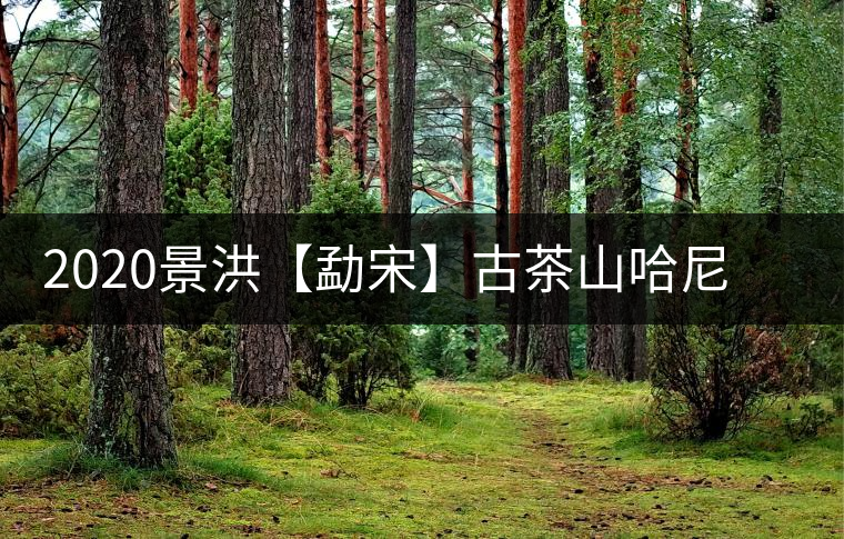 2020景洪【勐宋】古茶山哈尼年“嘎湯帕”圓滿結(jié)束，我們明年見
