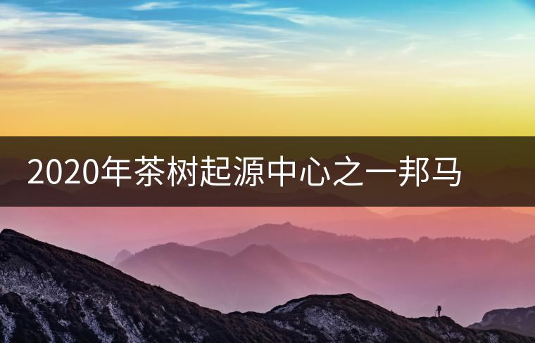 2020年茶樹(shù)起源中心之一邦馬大雪山上有哪些神秘的村寨？