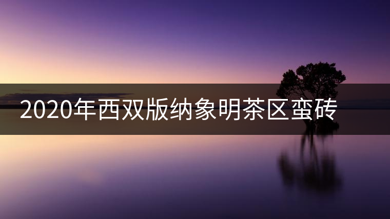 2020年西雙版納象明茶區(qū)蠻磚古茶山特點介紹