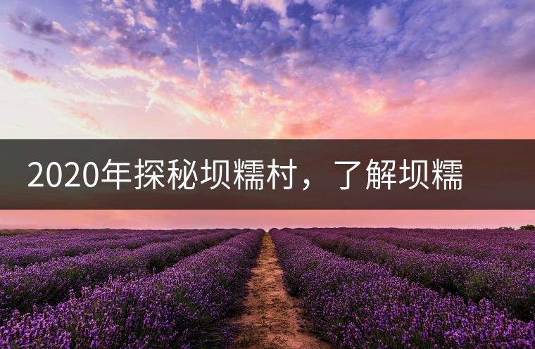 2020年探秘壩糯村，了解壩糯藤條茶的真相