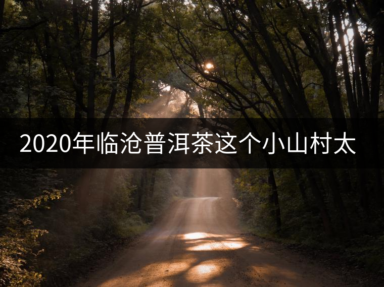 2020年臨滄普洱茶這個(gè)小山村太不簡(jiǎn)單！