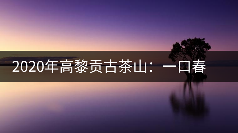 2020年高黎貢古茶山：一口春茶香，一口騰沖味