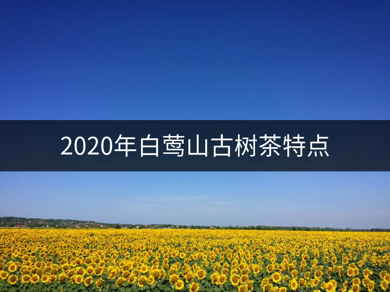 2020年白鶯山古樹茶特點(diǎn) 2020年白鶯山古樹茶特點(diǎn)