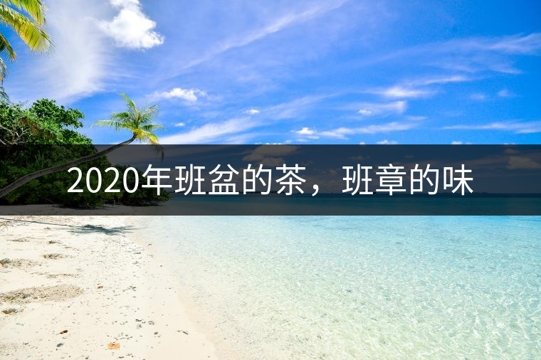 2020年班盆的茶，班章的味
