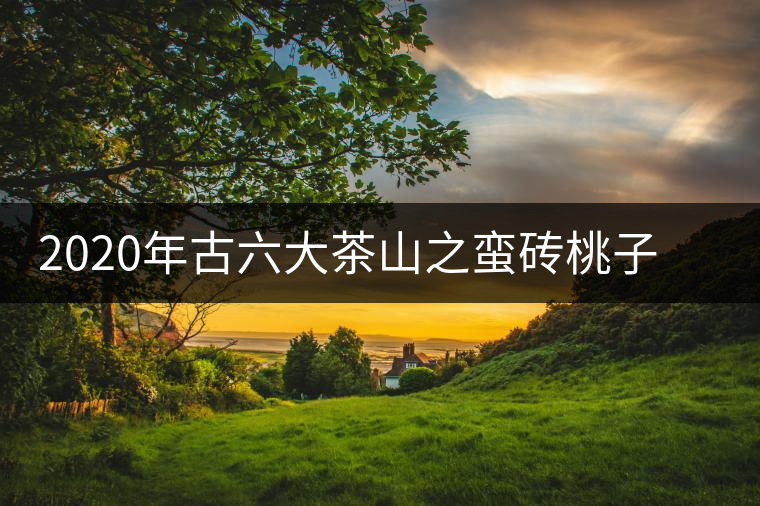 2020年古六大茶山之蠻磚桃子寨古樹茶，瓦龍古樹茶口感與特點