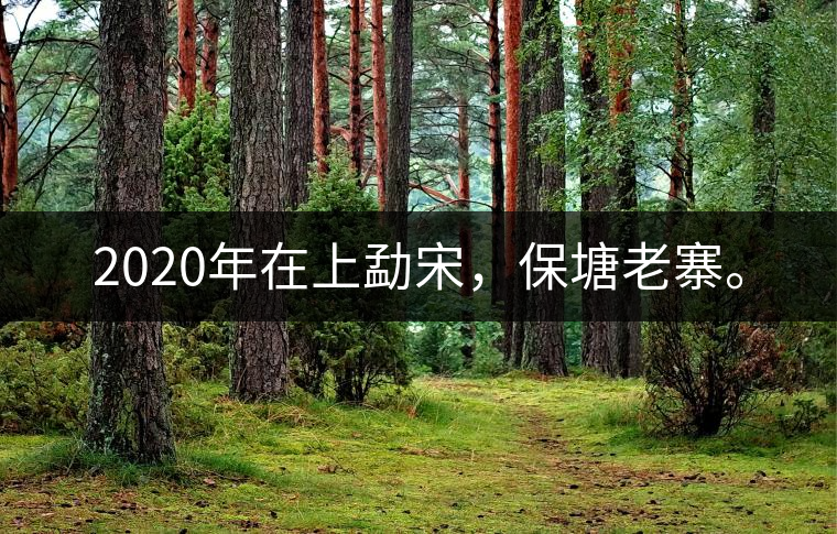 2020年在上勐宋，保塘老寨。