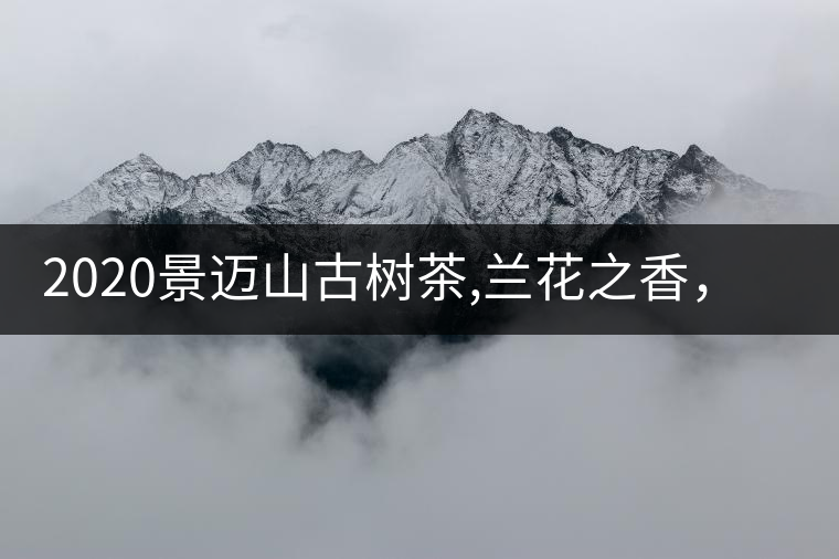 2020景邁山古樹茶,蘭花之香，自然之味