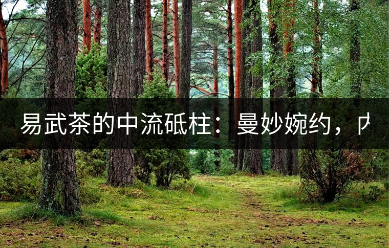 易武茶的中流砥柱：曼妙婉約，內(nèi)秀于心——2020年曼秀古樹春茶特點