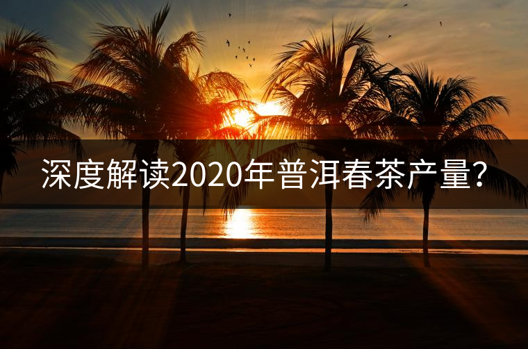深度解讀2020年普洱春茶產(chǎn)量？