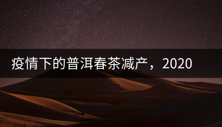 疫情下的普洱春茶減產(chǎn)，2020年價(jià)格“兩極分化”或成常態(tài)？