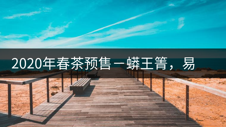 2020年春茶預(yù)售－蟒王箐，易武一個(gè)蟒蛇出沒的地方