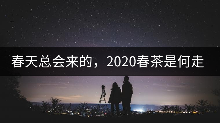 春天總會(huì)來的，2020春茶是何走勢(shì)？