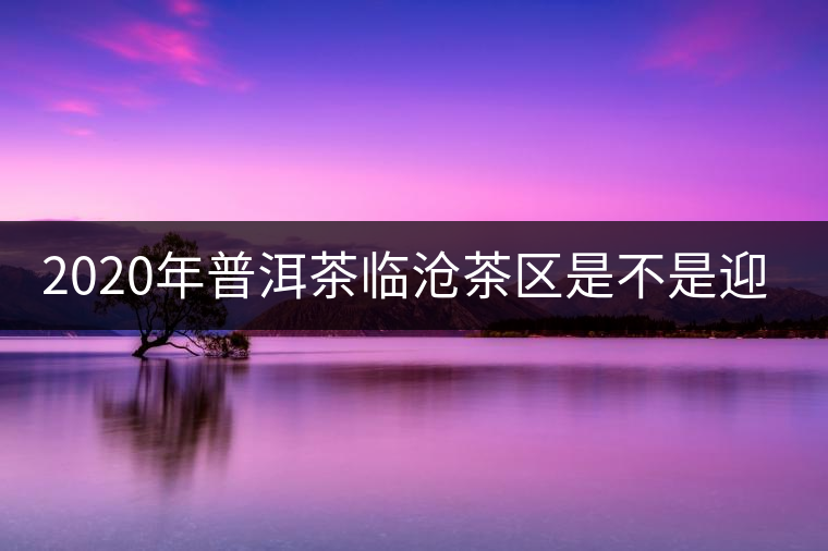2020年普洱茶臨滄茶區(qū)是不是迎來最好機遇？
