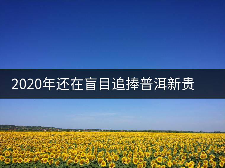 2020年還在盲目追捧普洱新貴“貓耳朵”？我們深入產(chǎn)區(qū)為你揭示最真實的“貓耳朵”！