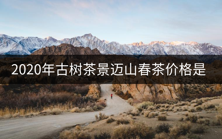 2020年古樹茶景邁山春茶價格是多少？