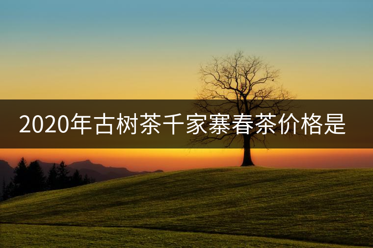 2020年古樹茶千家寨春茶價(jià)格是多少？