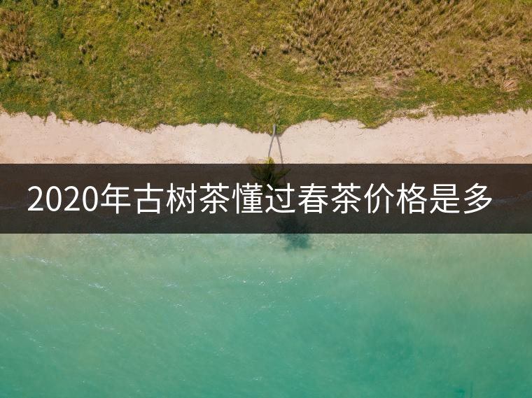 2020年古樹茶懂過春茶價(jià)格是多少？