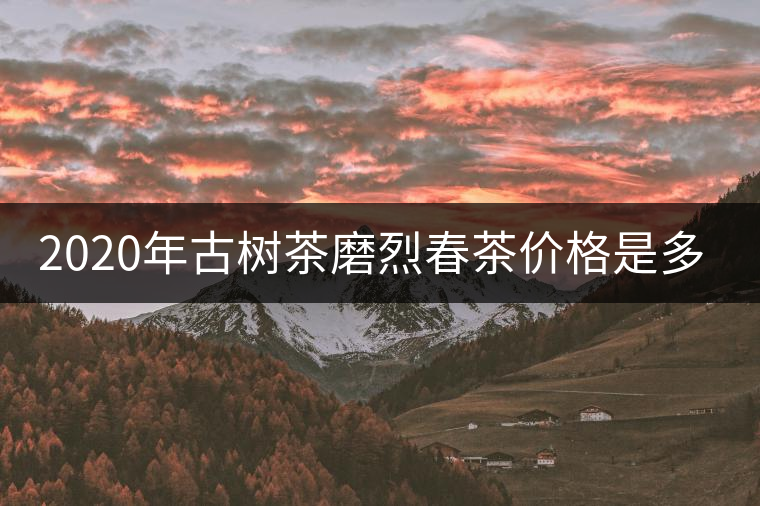 2020年古樹茶磨烈春茶價格是多少？
