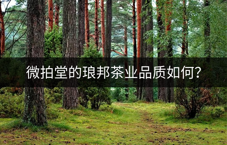 微拍堂的瑯邦茶業(yè)品質(zhì)如何？