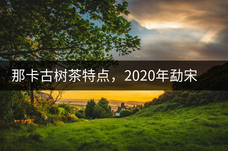 那卡古樹茶特點，2020年勐宋茶區(qū)保塘普洱茶口感