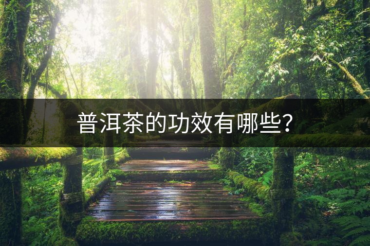 普洱茶的功效有哪些? 普洱茶的功效有哪些?