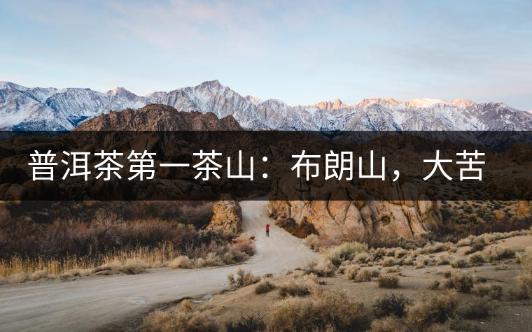 普洱茶第一茶山：布朗山，大苦大甘是它的魂