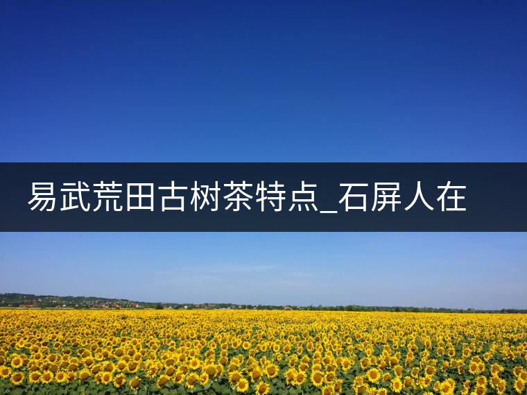 易武荒田古樹茶特點_石屏人在荒田以茶為生