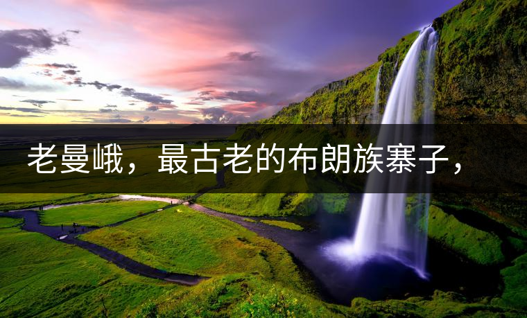 老曼峨，最古老的布朗族寨子，最極端的普洱茶