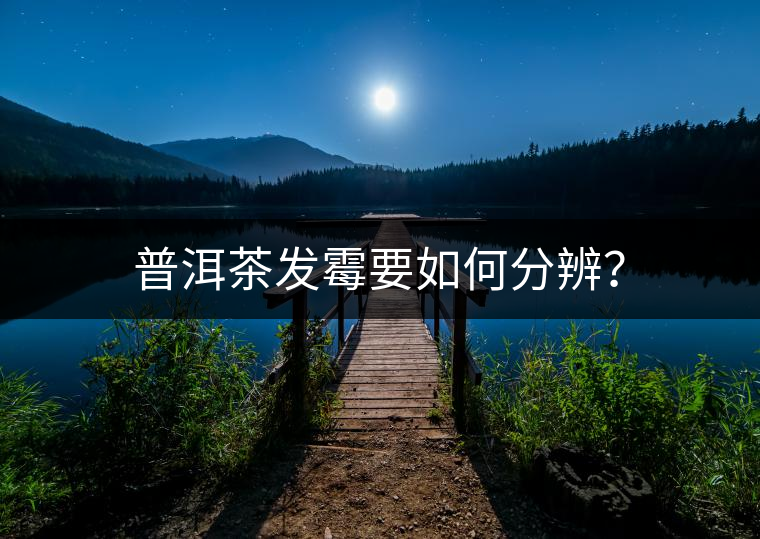 普洱茶發(fā)霉要如何分辨？