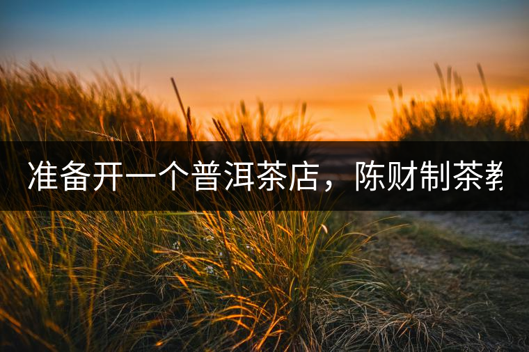 準備開一個普洱茶店，陳財制茶教你怎么做！