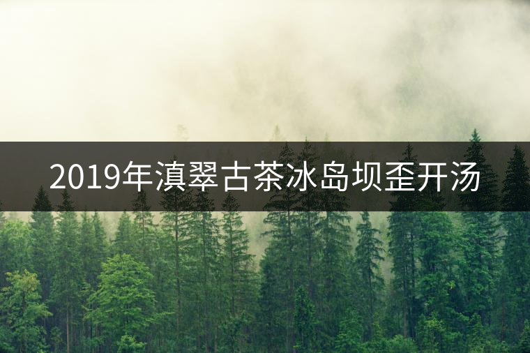 2019年滇翠古茶冰島壩歪開(kāi)湯