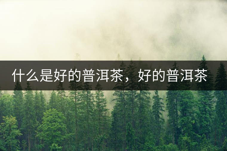 什么是好的普洱茶，好的普洱茶必須要有好的工藝！
