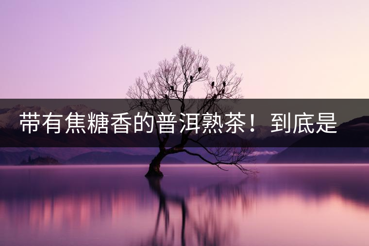 帶有焦糖香的普洱熟茶！到底是好是壞？