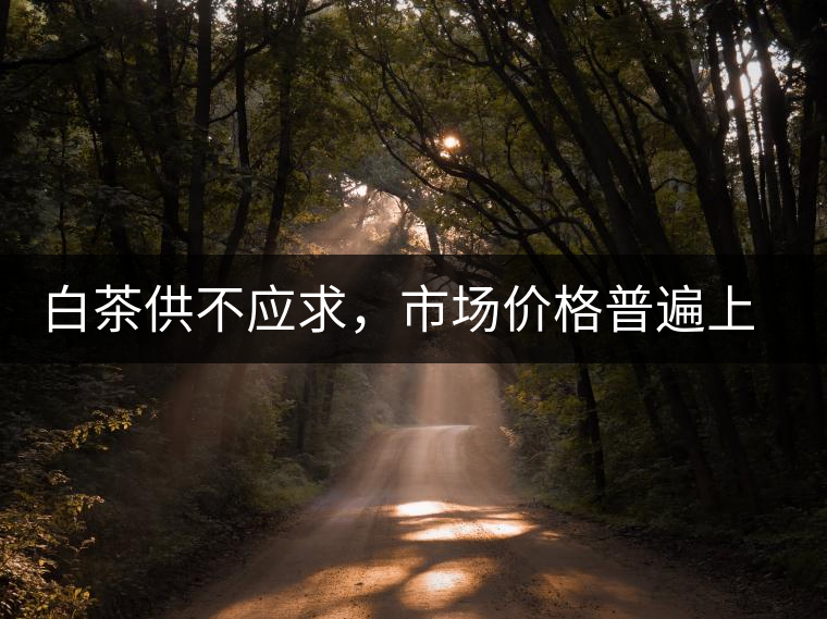 白茶供不應(yīng)求，市場價格普遍上漲？