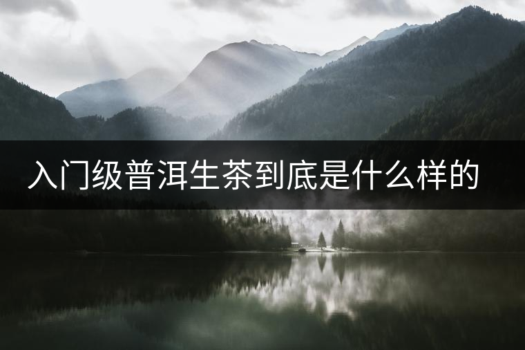 入門級普洱生茶到底是什么樣的口感？