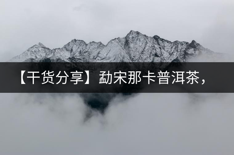 【干貨分享】勐宋那卡普洱茶，不僅僅是小班章那么單純！