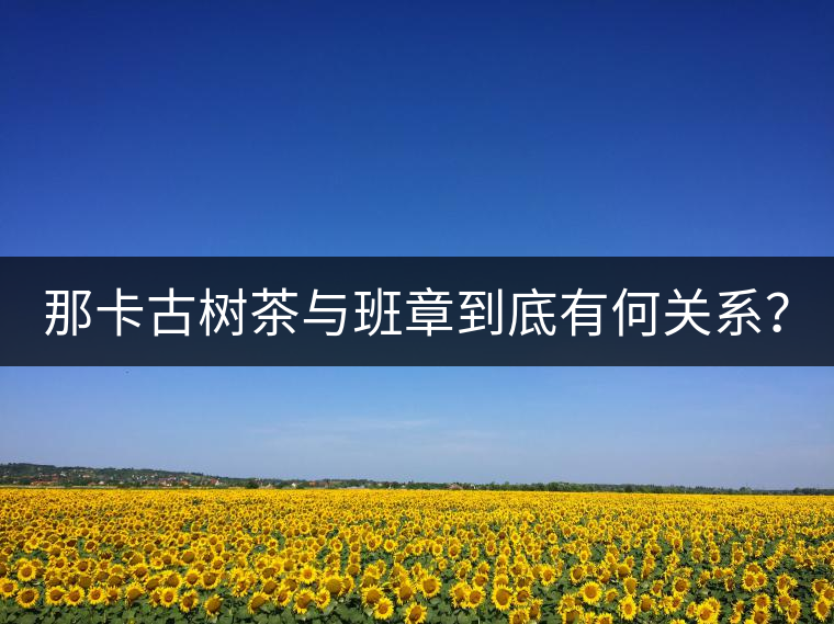 那卡古樹茶與班章到底有何關(guān)系？