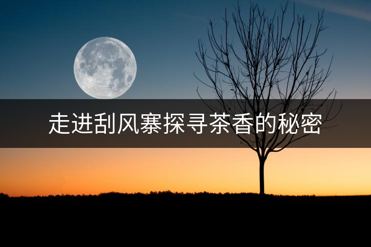 走進(jìn)刮風(fēng)寨探尋茶香的秘密 走進(jìn)刮風(fēng)寨探尋茶香的秘密