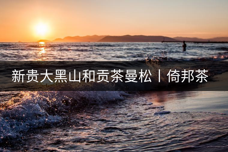 新貴大黑山和貢茶曼松丨倚邦茶山行記 新貴大黑山和貢茶曼松丨倚邦茶山行記