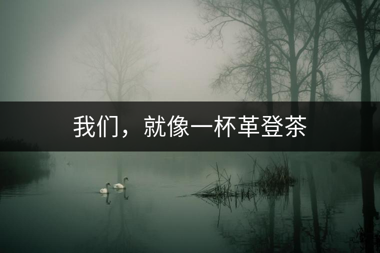 我們，就像一杯革登茶