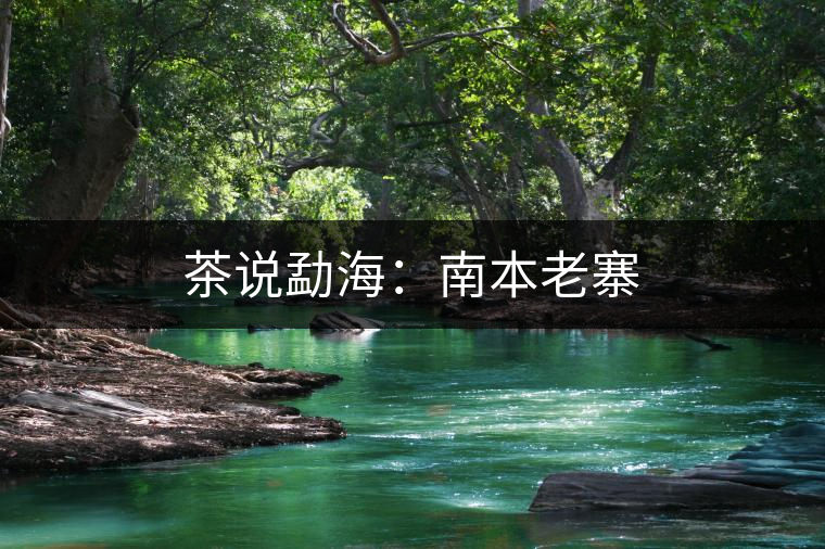 茶說(shuō)勐海：南本老寨