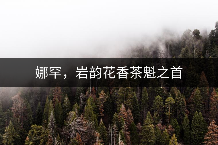 娜罕，巖韻花香茶魁之首