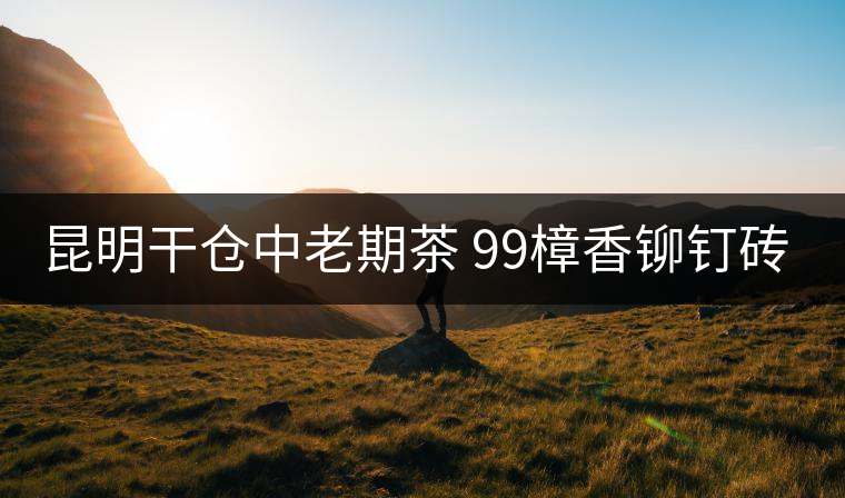 昆明干倉(cāng)中老期茶 99樟香鉚釘磚 致敬時(shí)光的力量