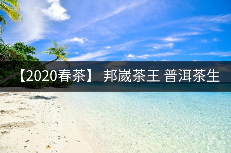 【2020春茶】 邦崴茶王 普洱茶生茶 200g生茶餅 【2020春茶】 邦崴茶王 普洱茶生茶 200g生茶餅