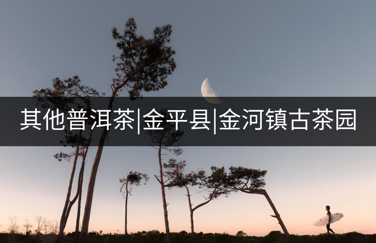其他普洱茶|金平縣|金河鎮(zhèn)古茶園 其他普洱茶|金平縣|金河鎮(zhèn)古茶園