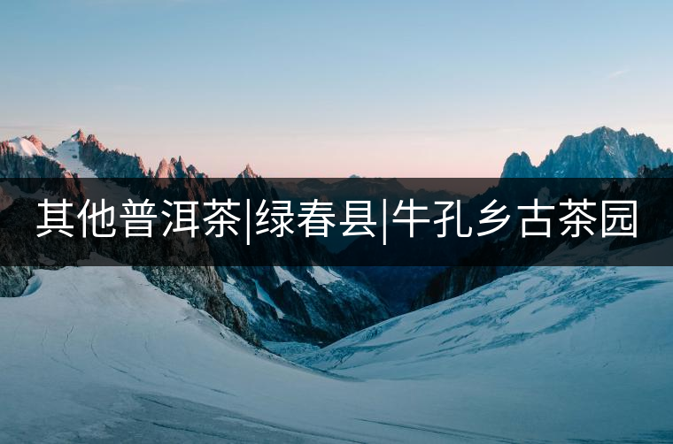 其他普洱茶|綠春縣|?？奏l(xiāng)古茶園