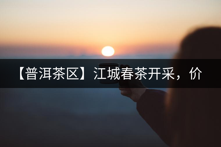 【普洱茶區(qū)】江城春茶開(kāi)采，價(jià)格漲幅小